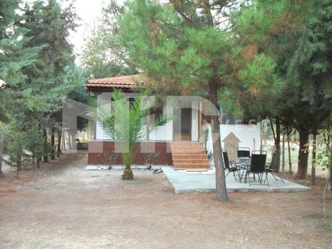 Отдельный дом в Ситониа