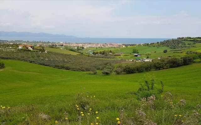 Земельный участок в Aristotle University of Thessaloniki