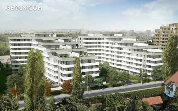 Tulipa Trebesin IV in Prague