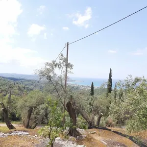 Земельный участок в Corfu, фото 4