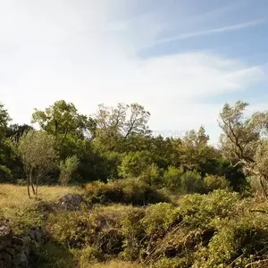 Земельный участок в Близикуче, фото 4
