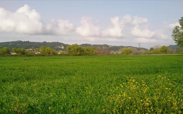Земельный участок в Kassandra Municipality