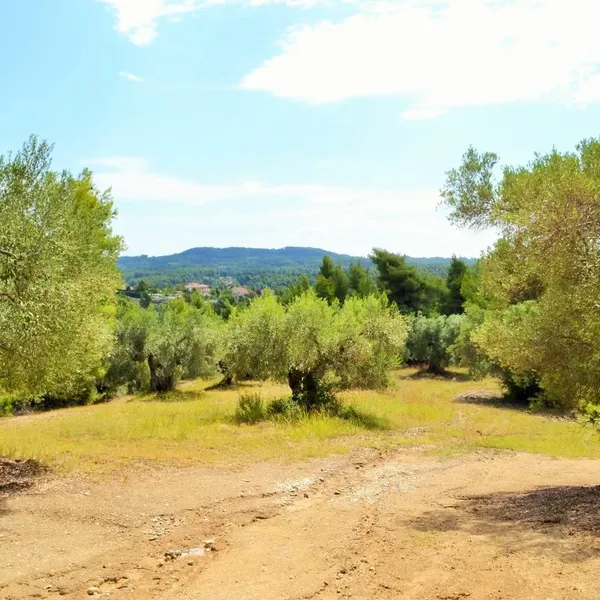 Земельный участок в Kassandra Municipality, фото 1