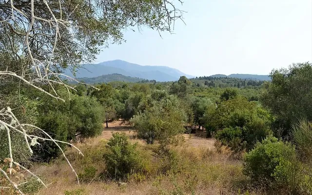 Земельный участок в Corfu