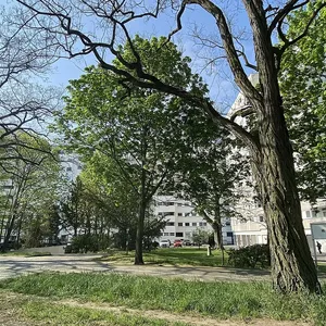 Квартира в Берлин, фото 5