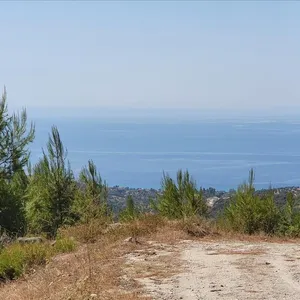 Земельный участок в Kassandra Municipality, фото 4