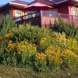 Отдельный дом в Хевиз, фото 2