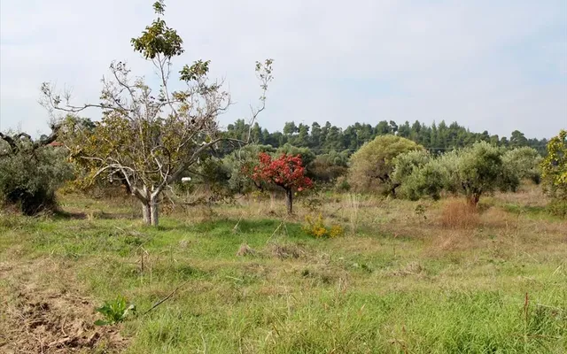 Земельный участок в Kassandra Municipality