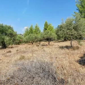 Земельный участок в Ситониа, фото 3