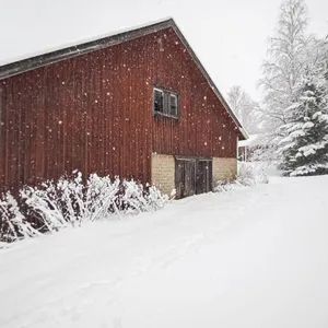 Дом в Южное Саво, фото 4