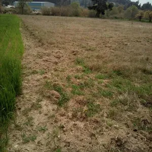Земельный участок в Kassandra Municipality, фото 3