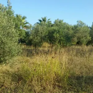 Земельный участок в Kassandra Municipality, фото 2