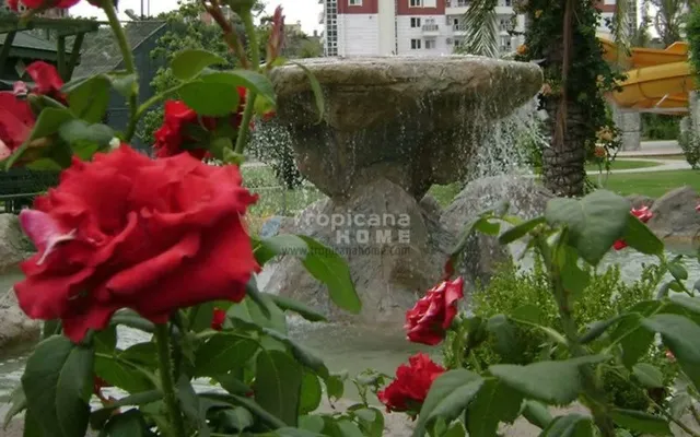 Квартира в Алания