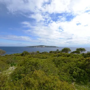 Земельный участок в Paxoi, фото 5