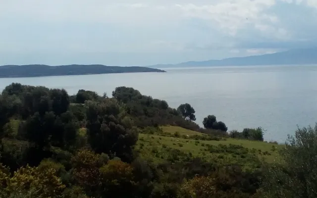 Земельный участок в Aristotle University of Thessaloniki