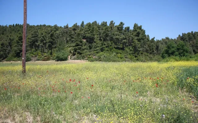 Земельный участок в Kassandra Municipality