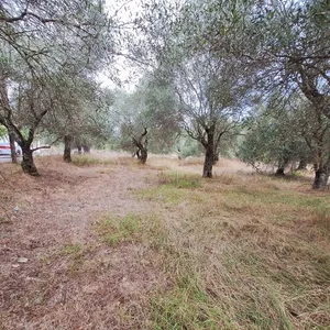 Земельный участок в Corfu, фото 4