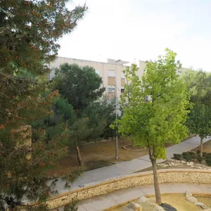 Квартира в Аликанте, фото 5