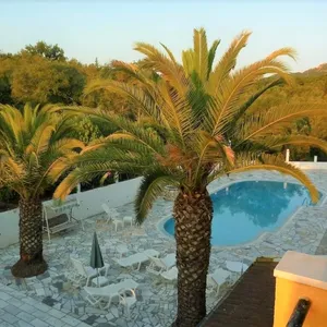 Отель в Corfu, фото 2