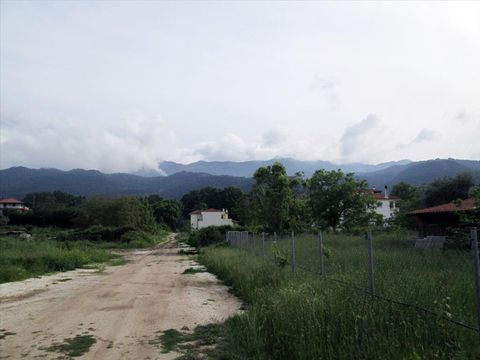 Земельный участок в Тасос