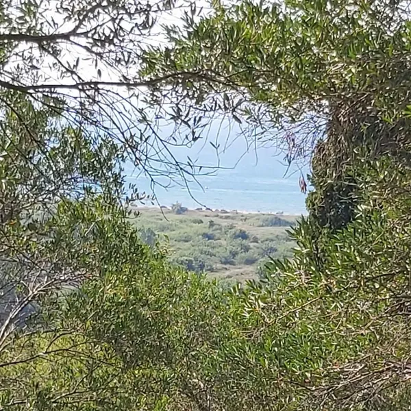 Земельный участок в Corfu, фото 1