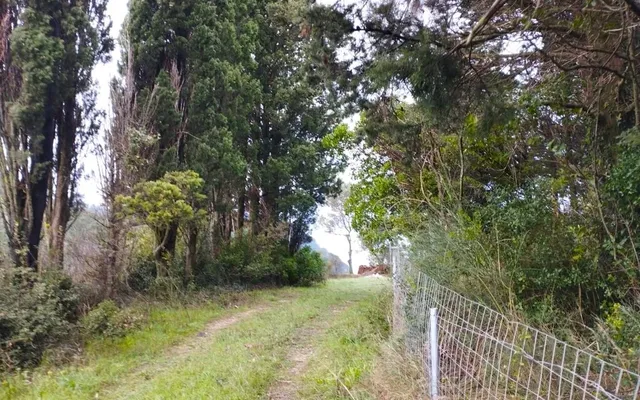 Земельный участок в Corfu