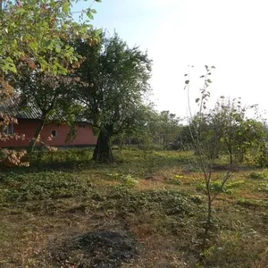 Дом в Бухарест, фото 3