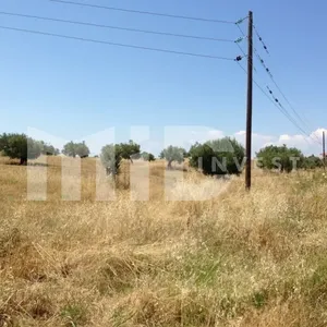 Земельный участок в Каллифея (Кассандра), фото 4