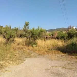 Земельный участок в Ситониа, фото 3