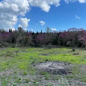 Земельный участок в Corfu, фото 4