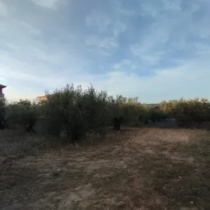 Земельный участок в Νέα Μηχανιώνα, фото 2