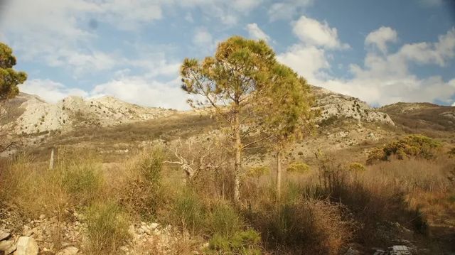 Земельный участок в Ратац