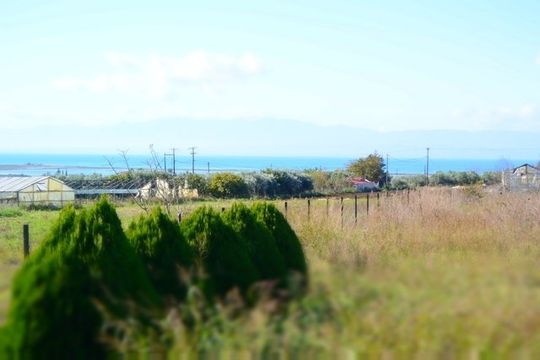 Земельный участок в Переа