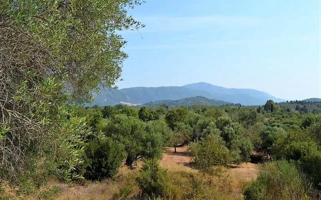 Земельный участок в Corfu