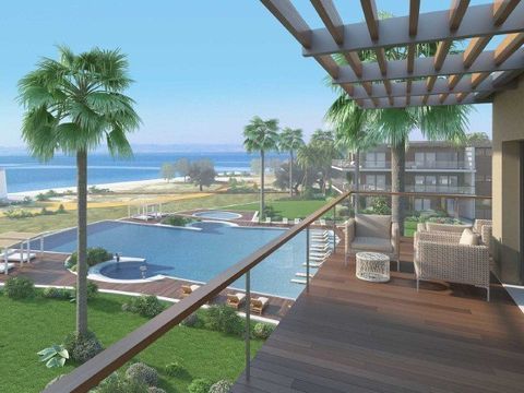 Квартира в Алкошети