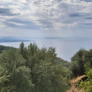 Земельный участок в Corfu, фото 5