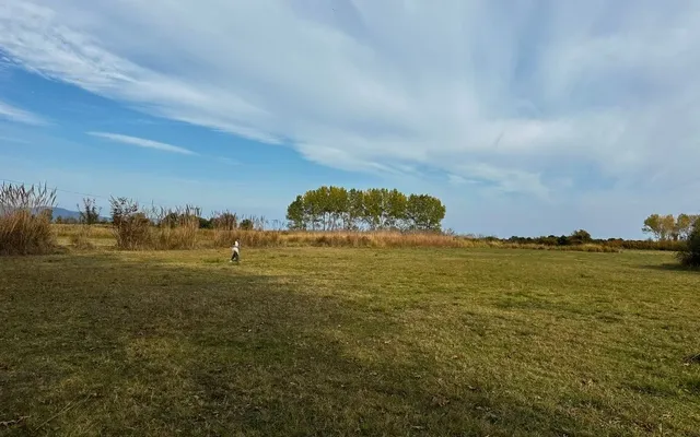 Земельный участок в Aristotle University of Thessaloniki