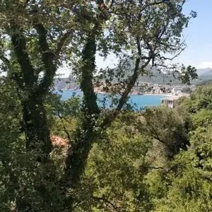 Отдельный дом в Сутоморе, фото 4