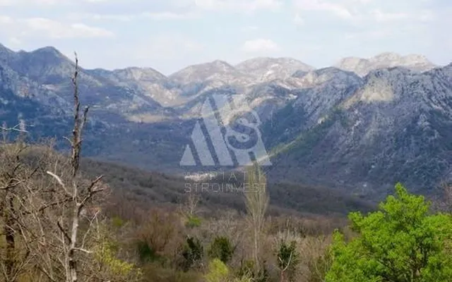 Промышленность в Черногория