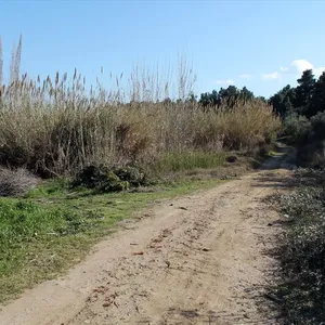 Земельный участок в Kassandra Municipality, фото 5