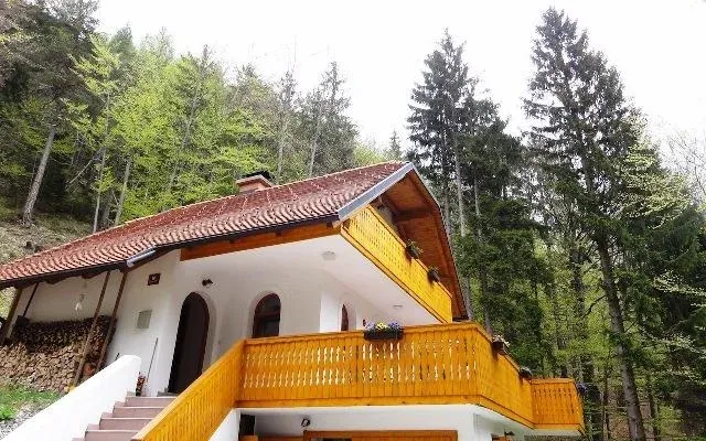 Дом в Краньска-Гора