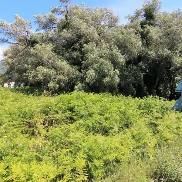 Земельный участок в Corfu, фото 1