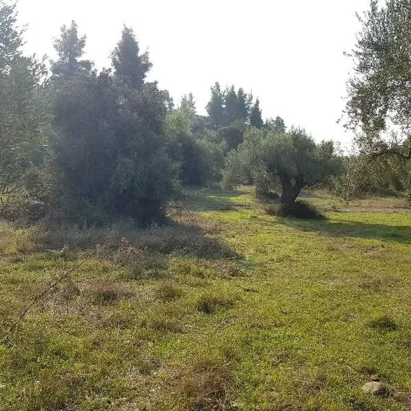 Земельный участок в Kassandra Municipality, фото 1