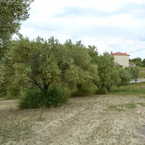 Земельный участок в Kassandra Municipality, фото 3