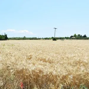 Земельный участок в Македония и Фракия, фото 2