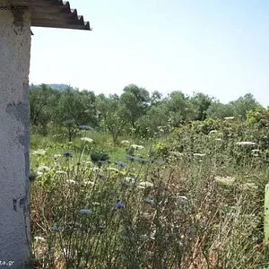 Земельный участок в Бокали, фото 2