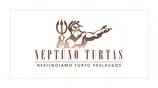 Neptuno turtas