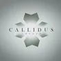Callidus Invest