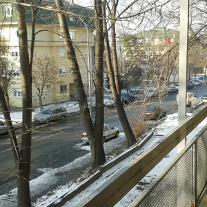 Квартира в Белград, фото 3