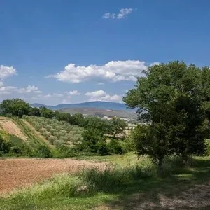 Квартира в Ангьяри, фото 4
